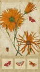 Euphoria Botanical Bliss wall Kit