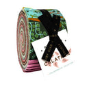 Calathea Jelly Roll® RS5182JR Ruby Star
