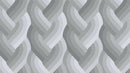 Echo Braid Grey 42380 13 Moda