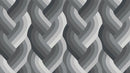 Echo Braid Black 42380 14 Moda