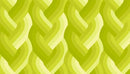 Echo Braid Acid Green 42380 23 Moda