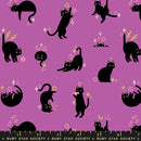 Freaky Familiars Witchy RS5193 13 Ruby Star