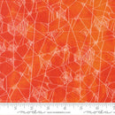 Spider Web Halloween  Coven Spice 48804 13 Moda