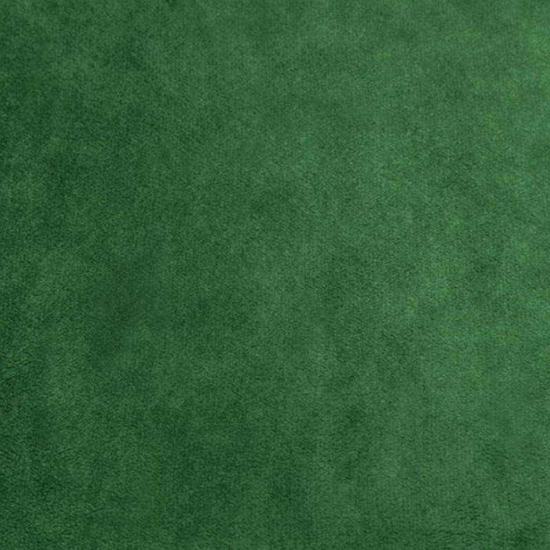 Evergreen Cuddle Solid