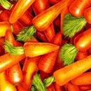 Food Fabric (Fruits & Veggies) Fat Quarter 10FQs/bundle