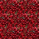 Food Fabric (Fruits & Veggies) Fat Quarter 10FQs/bundle