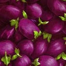 Food Fabric (Fruits & Veggies) Fat Quarter 10FQs/bundle