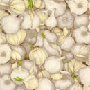 Food Fabric (Fruits & Veggies) Fat Quarter 10FQs/bundle