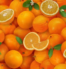 Food Fabric (Fruits & Veggies) Fat Quarter 10FQs/bundle