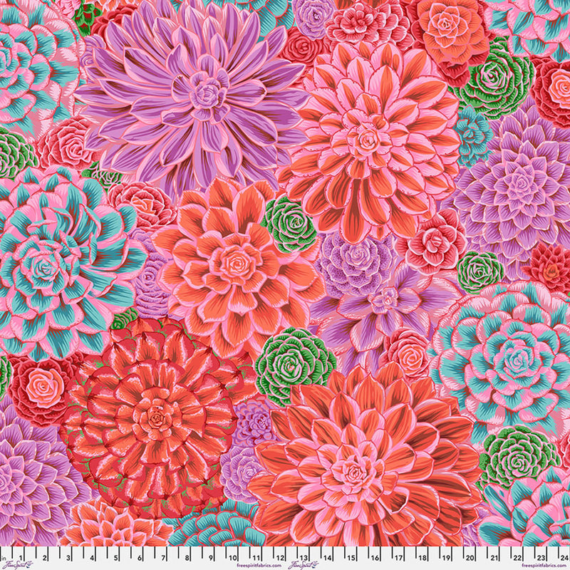 House Leeks - Pink  Philip Jacobs for the Kaffe Fassett Collective PWPJ113.PINK