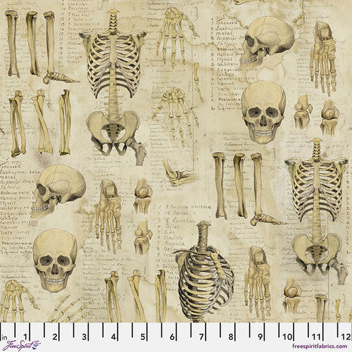 Tim Holtz Laboratory Anatomy Neutral PWTH181.NEUTRAL