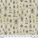 Tim Holtz Laboratory Specimen Neutral PWTH184.NEUTRAL