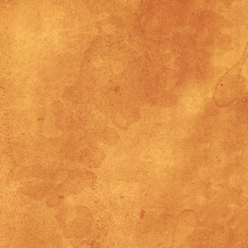 Tim Holtz Palette Orange One Yard Bundle of 10 Pieces