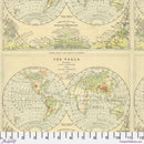 Tim Holtz Eclectic Elements Palette PWTH263.GREEN Green Map