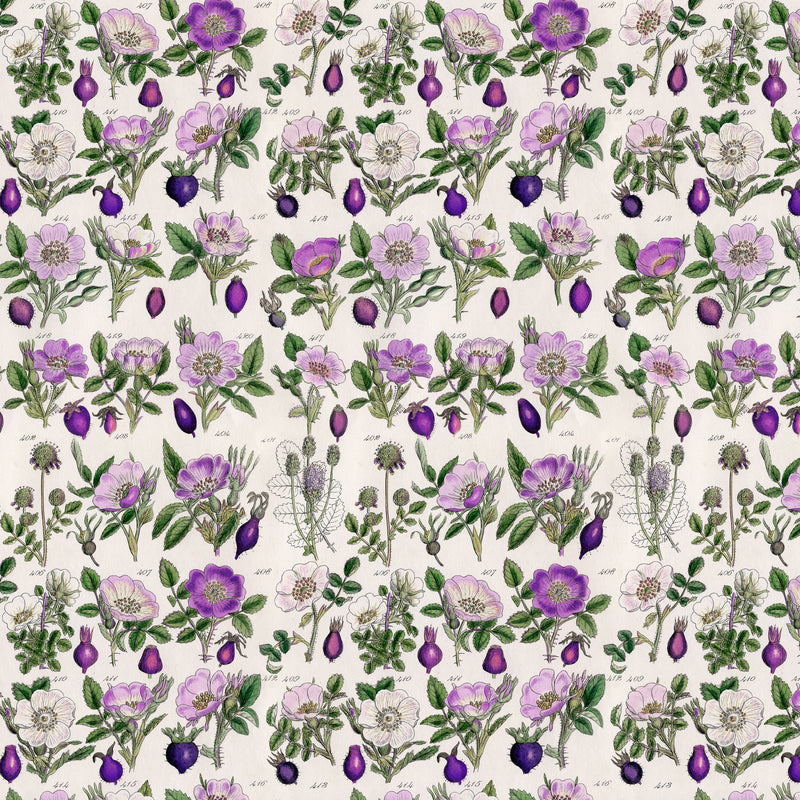 Tim Holtz Eclectic Elements Palette PWTH306.PURPLE Purple Botanical