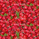 Food Fabric (Fruits & Veggies) Fat Quarter 10FQs/bundle