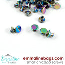 CHICAGO SCREWS : SMALL Size (3/16" or 4 mm) in IRIDESCENT RAINBOW (20 Pack) SKU: EBCHIC-SM-4mm-IRI/20