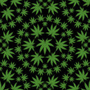 Large Cannabis leaves