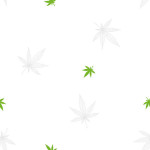 Cannabis Leaves