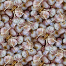 Vampires Beware Digitally Printed