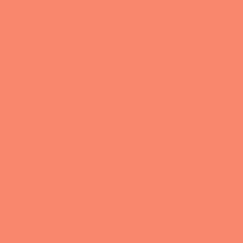 Tula Pink Solids - Persimmon || Tula Pink Solids