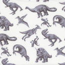 MARCH OF THE DINOSAURS TOSSED DINOSAUR SPECIES