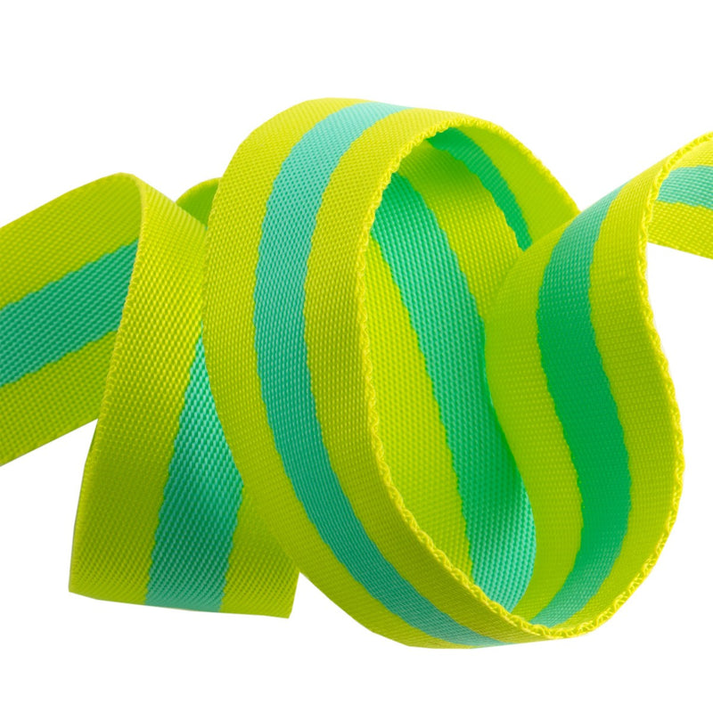 Tula Pink Webbing 2yd x 1.5in - Lime and Turquoise