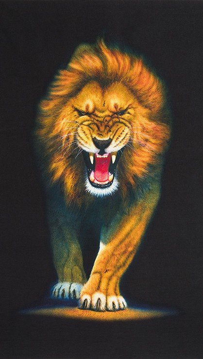 Robert Kaufman "Animal Kingdom" Lion